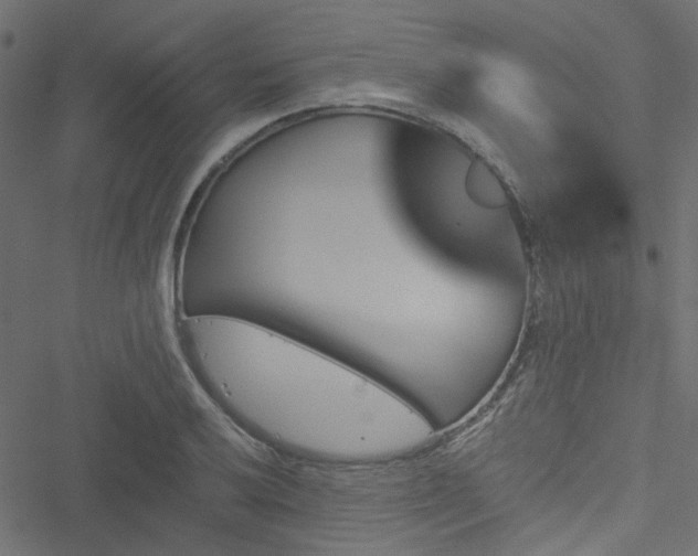 X0000051891032200506241344