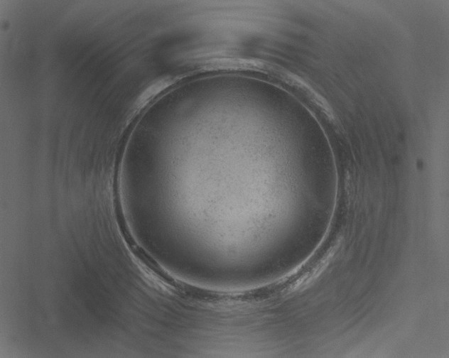 X0000051891033200506241344