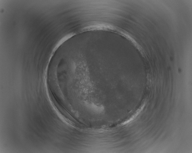 X0000051891034200506241344