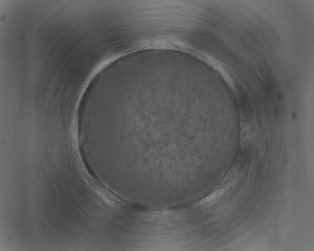 X0000051891035200506241344