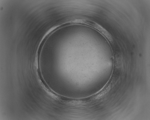 X0000051891036200506241344