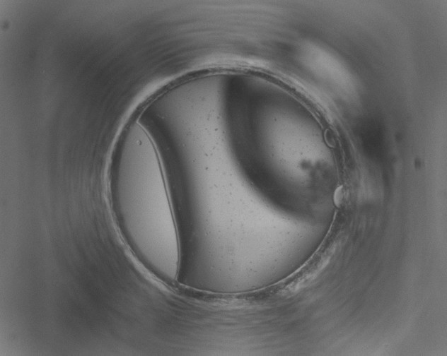 X0000051891037200506241344