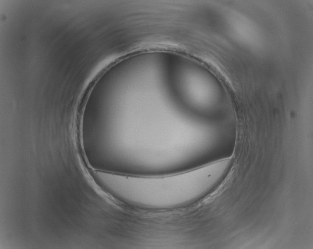 X0000051891038200506241344