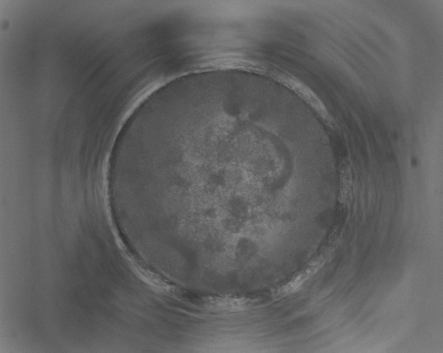 X0000051891039200506241344