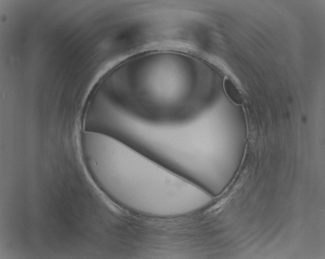 X0000051891040200506241344