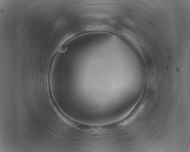 X0000051891041200506241344