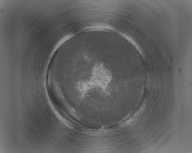 X0000051891042200506241344