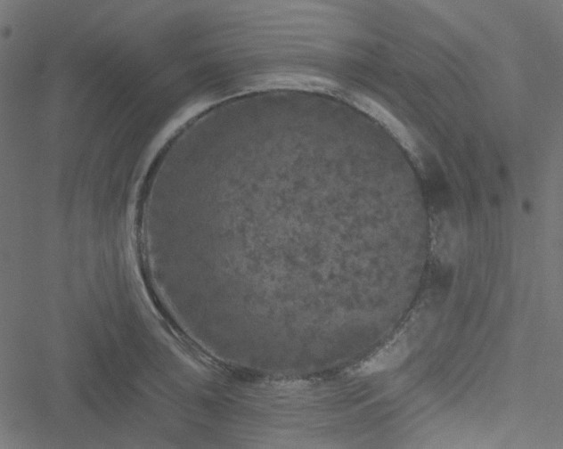 X0000051891043200506241344