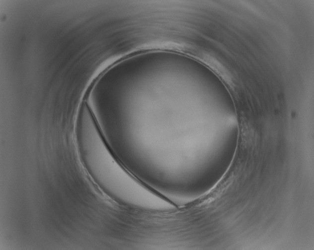 X0000051891044200506241344