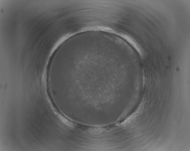 X0000051891046200506241344