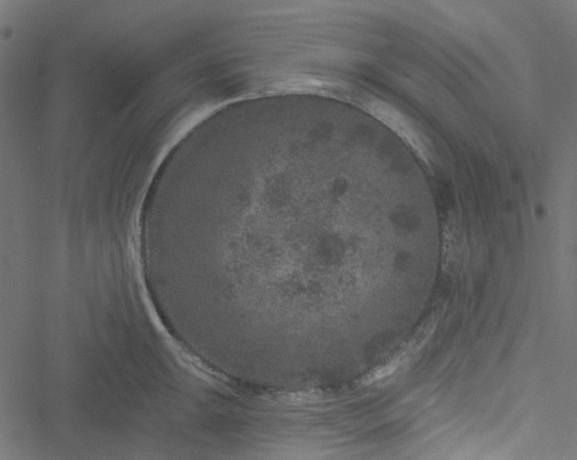 X0000051891047200506241344