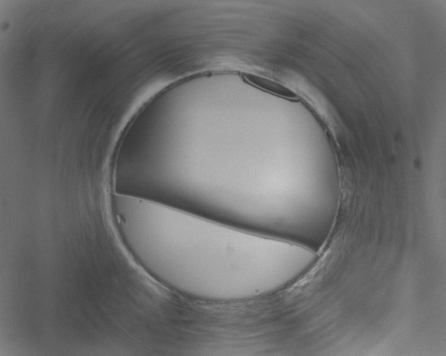 X0000051891048200506241344