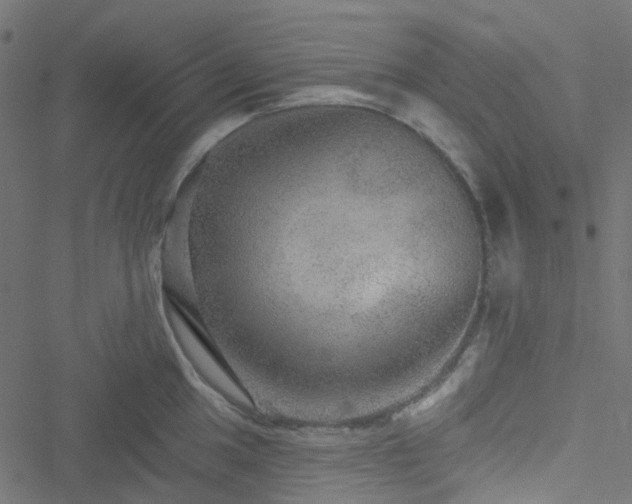 X0000051891049200506241344