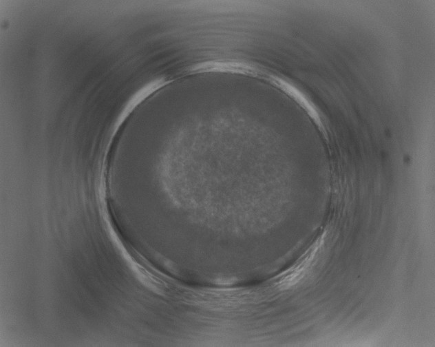 X0000051891050200506241344