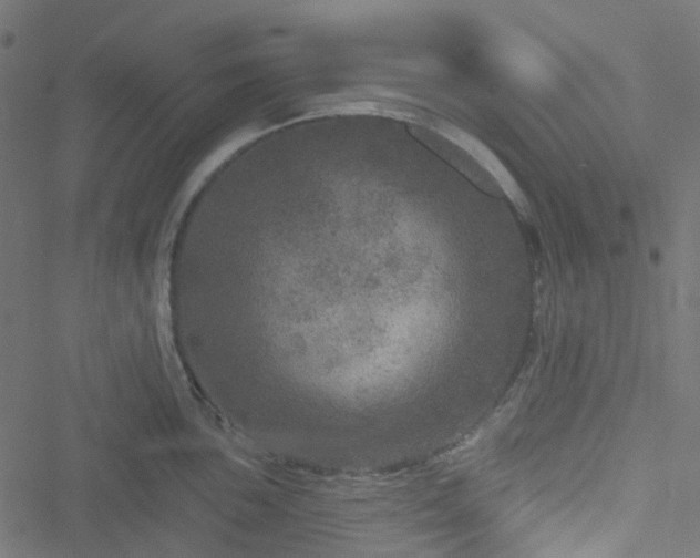 X0000051891051200506241344