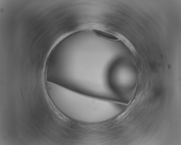 X0000051891052200506241344