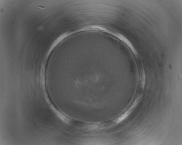 X0000051891054200506241344