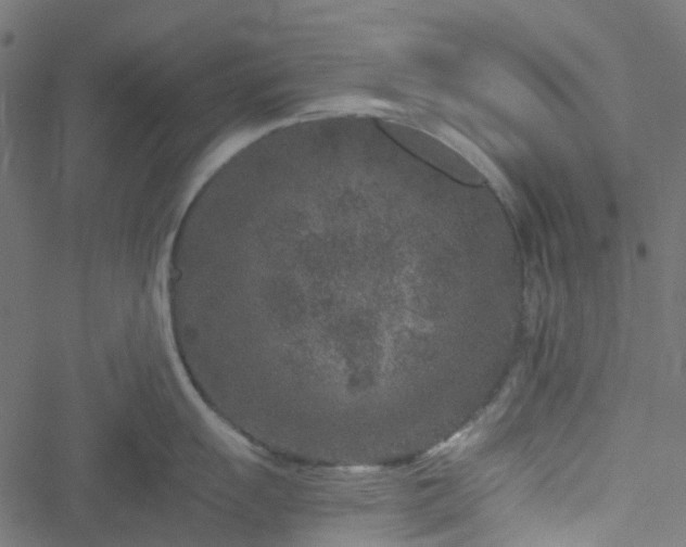 X0000051891055200506241344