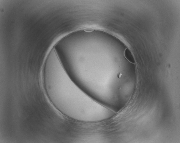 X0000051891056200506241344