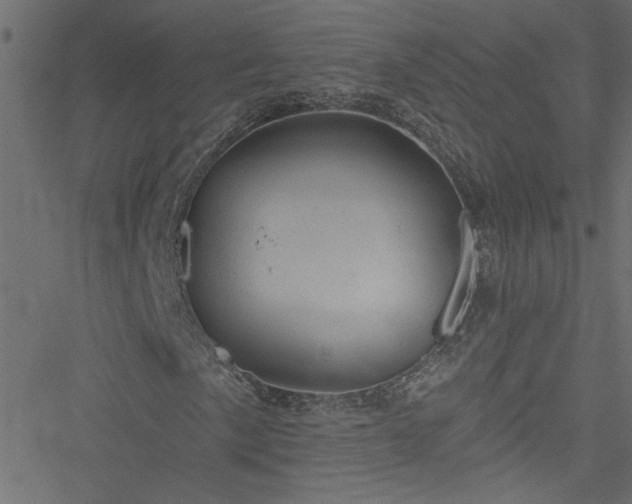 X0000051891057200506241343