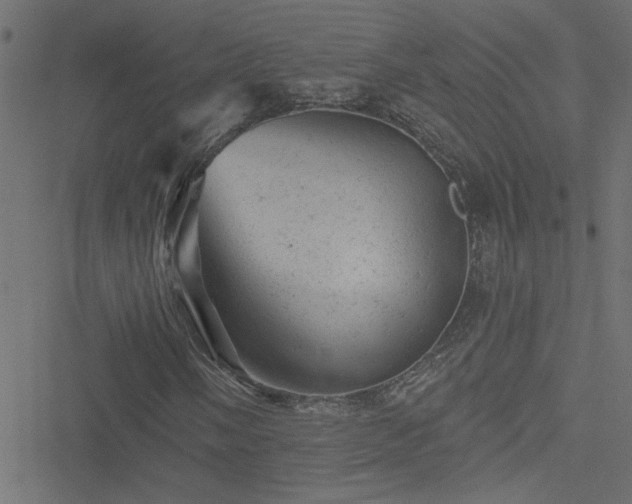 X0000051891058200506241343