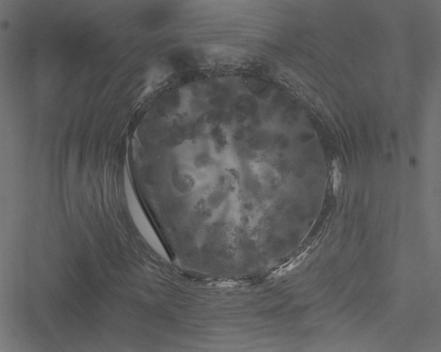 X0000051891059200506241343