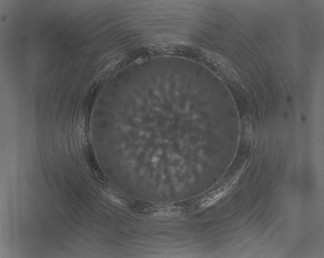 X0000051891060200506241343