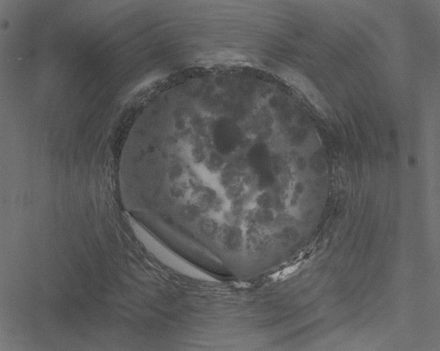 X0000051891063200506241343