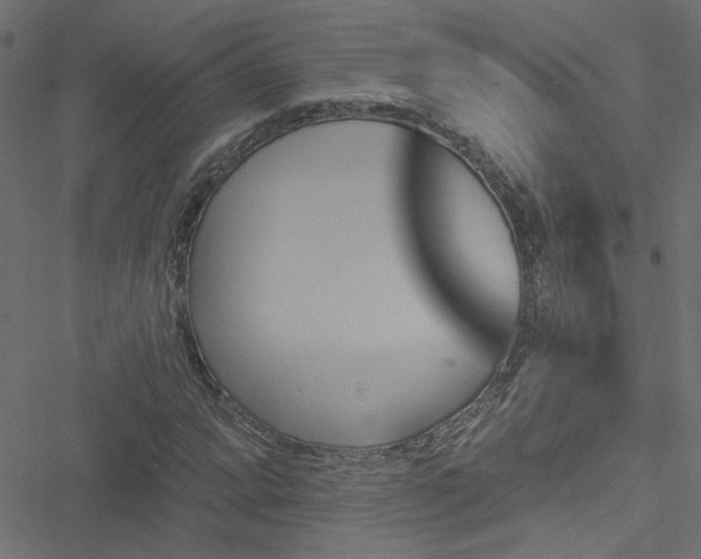 X0000051891064200506241343