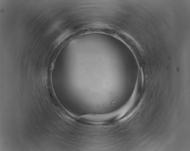 X0000051891065200506241343