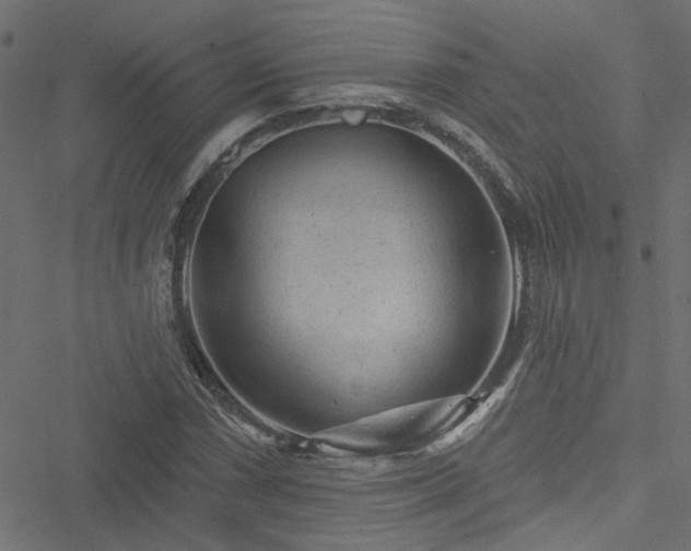 X0000051891066200506241343