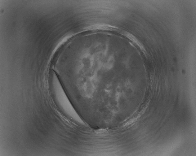 X0000051891067200506241343