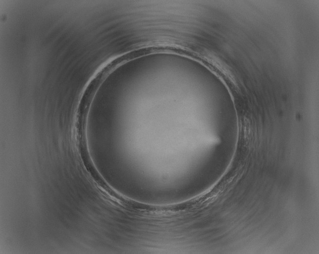 X0000051891068200506241343