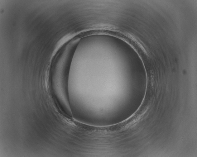 X0000051891069200506241343