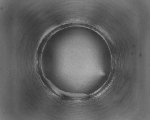 X0000051891070200506241343