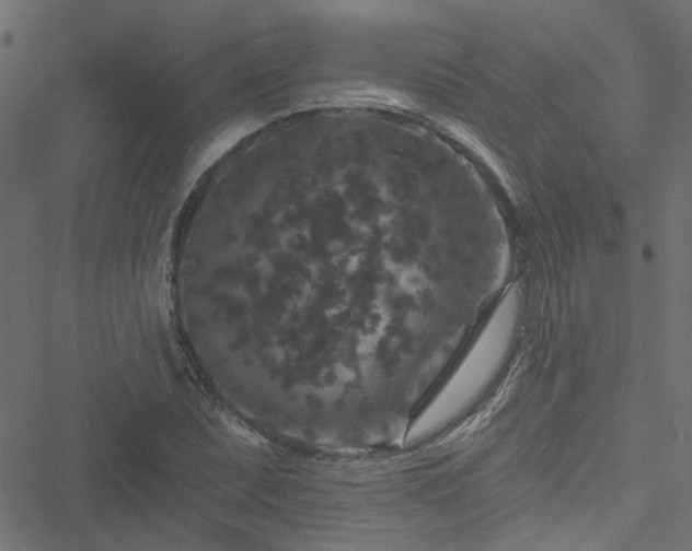 X0000051891071200506241343