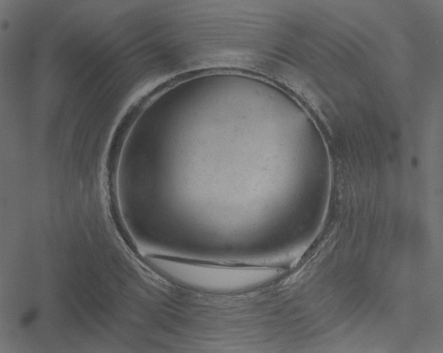 X0000051891072200506241343