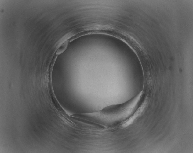 X0000051891073200506241343