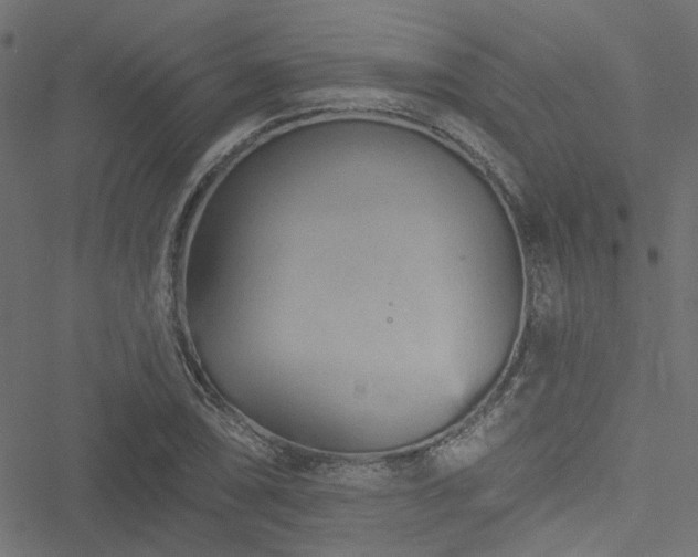 X0000051891074200506241343