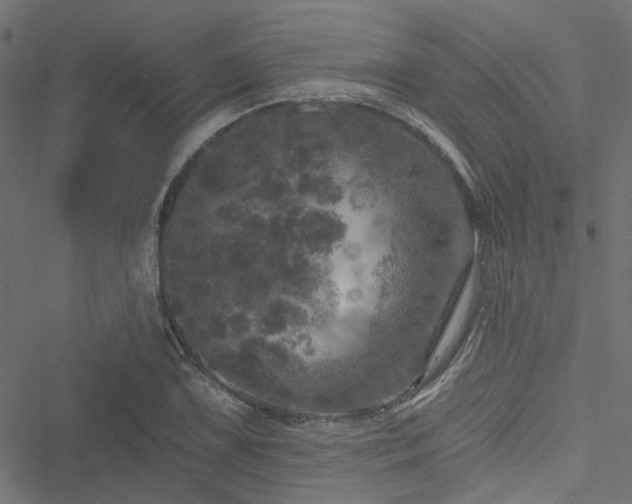 X0000051891075200506241343