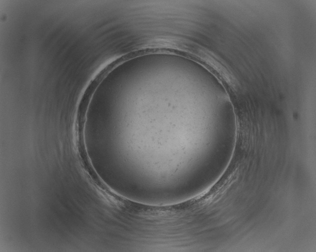 X0000051891076200506241343