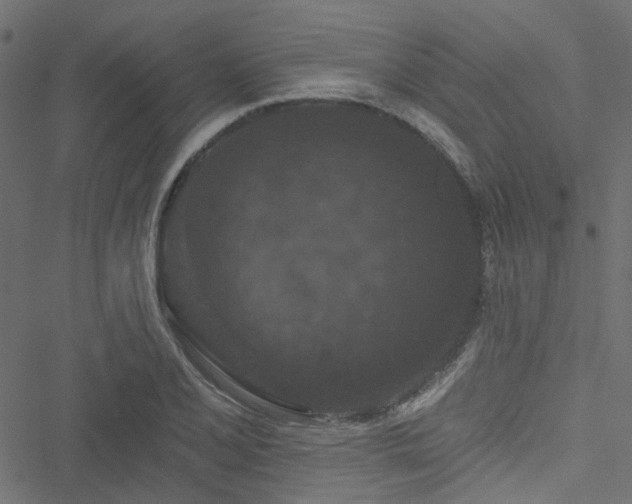 X0000051891077200506241343