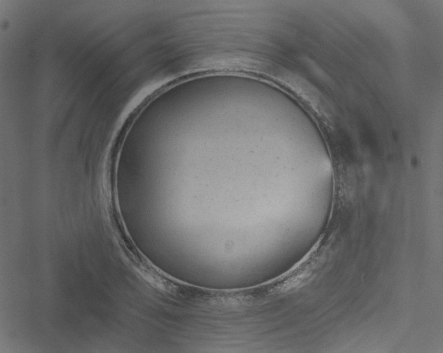 X0000051891078200506241343