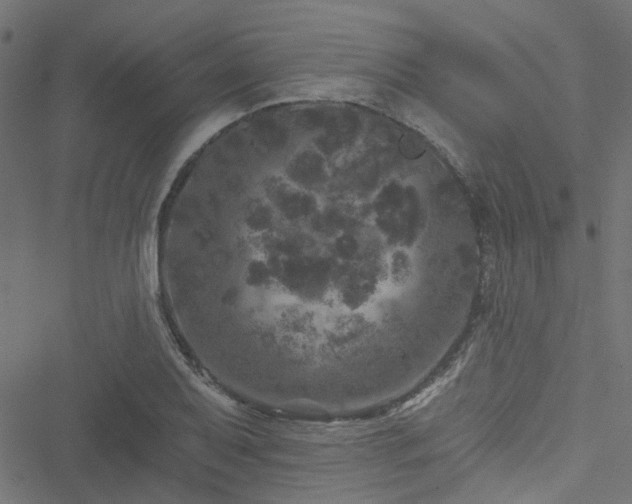 X0000051891079200506241343