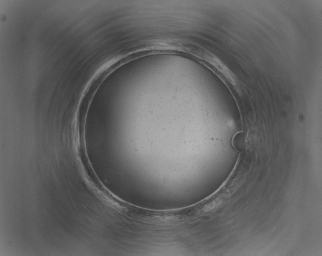 X0000051891080200506241343