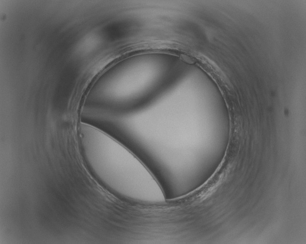 X0000051891081200506241343