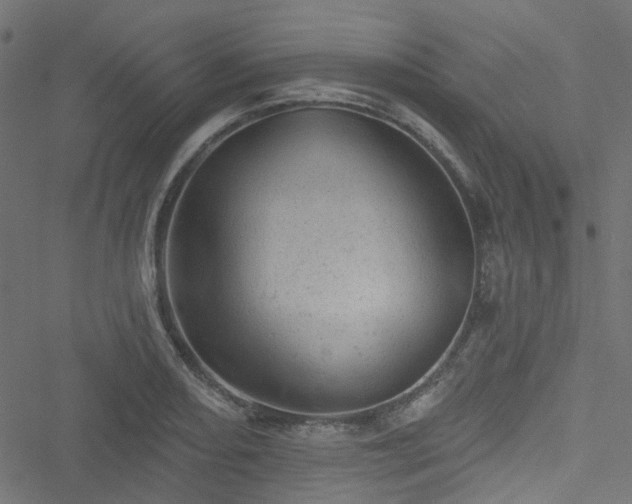 X0000051891082200506241343