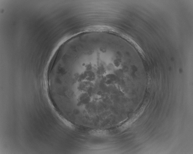 X0000051891083200506241343