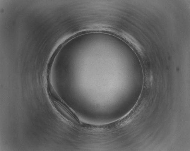 X0000051891085200506241343