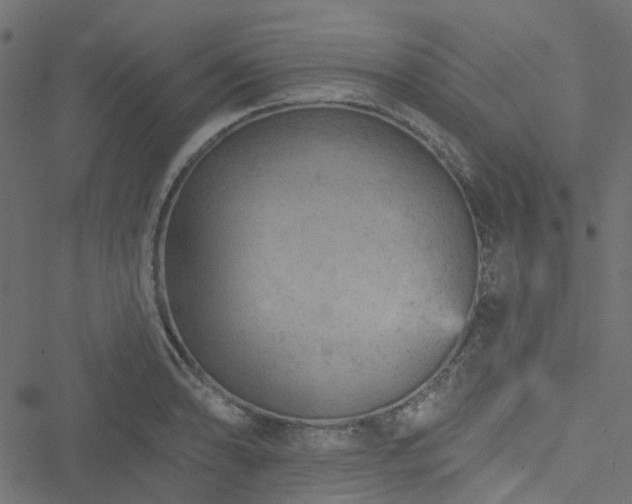 X0000051891086200506241343